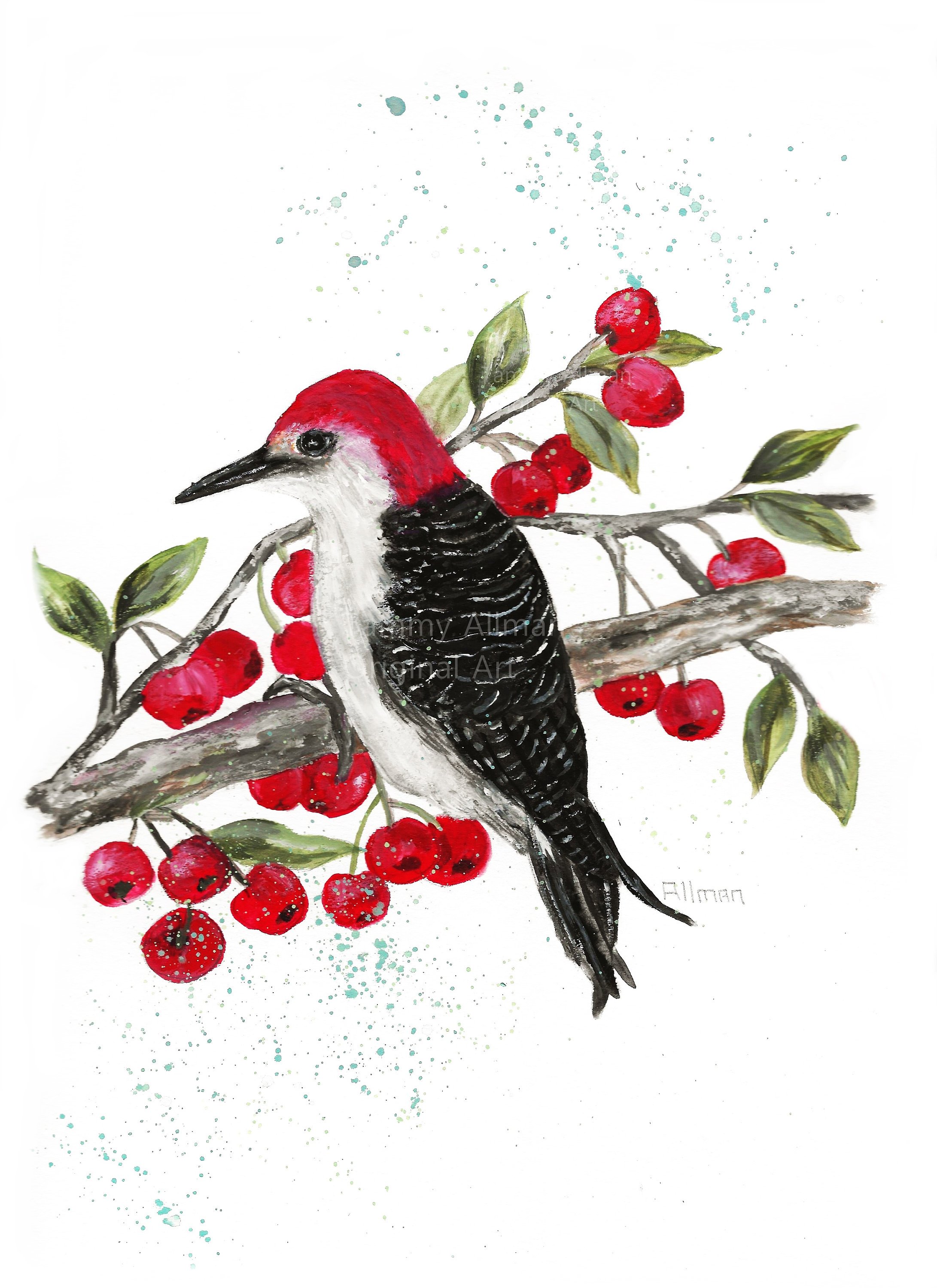 Red Headed Woodpecker in a Cherry Tree Watercolor Print