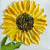 Sunflower Oil Impasto Painting