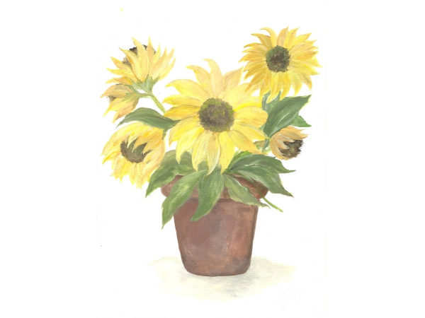 Sunflower Watercolor,