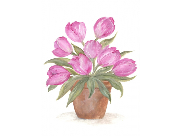 Tulips in a Clay Pot Watercolor