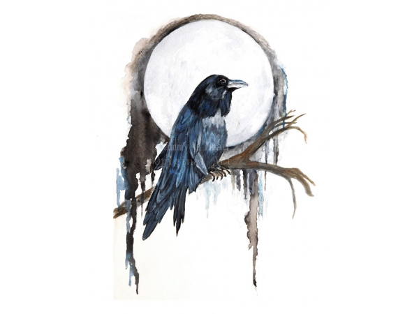The raven and the moon
