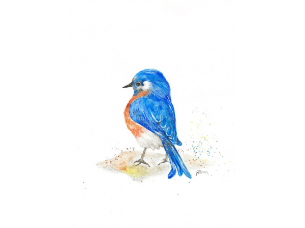 Bluebird Watercolor Print of Original, "Bluebird Happiness" Bluebird