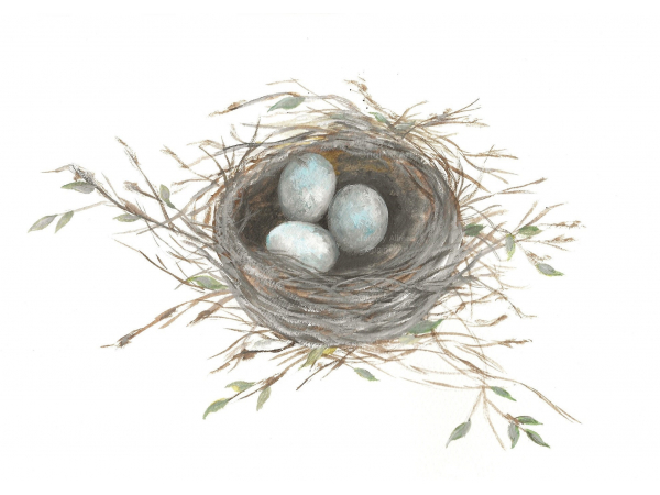 "The Robins Nest" Original Watercolor Print,