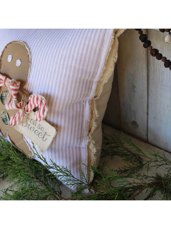 edge of gingerbread pillow