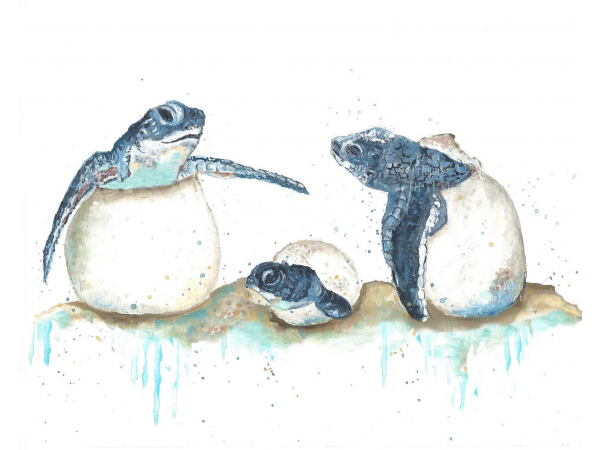 Sea Turtles Hatching Watercolor Print