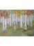 birch tree oil impasto painting