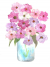 Pink  and  Lavender Cosmos Watercolor
