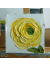 yellow ranunculus oil painting on a easel