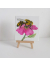 Bee Painting and Easel