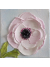 Pale Pink Anemone oil painting