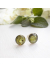 Sage and Thyme Eco Resin Sterling Silver Studs