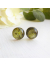 dried flower,Sterling silver and resin herbal studs