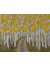 Aspen Birch Oil Impasto Painting