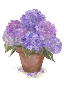 purple hydrangea watercolor