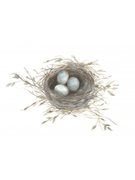 "The Robins Nest" Original Watercolor Print,
