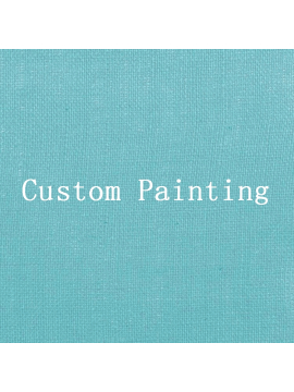 Custom painting for Debbie