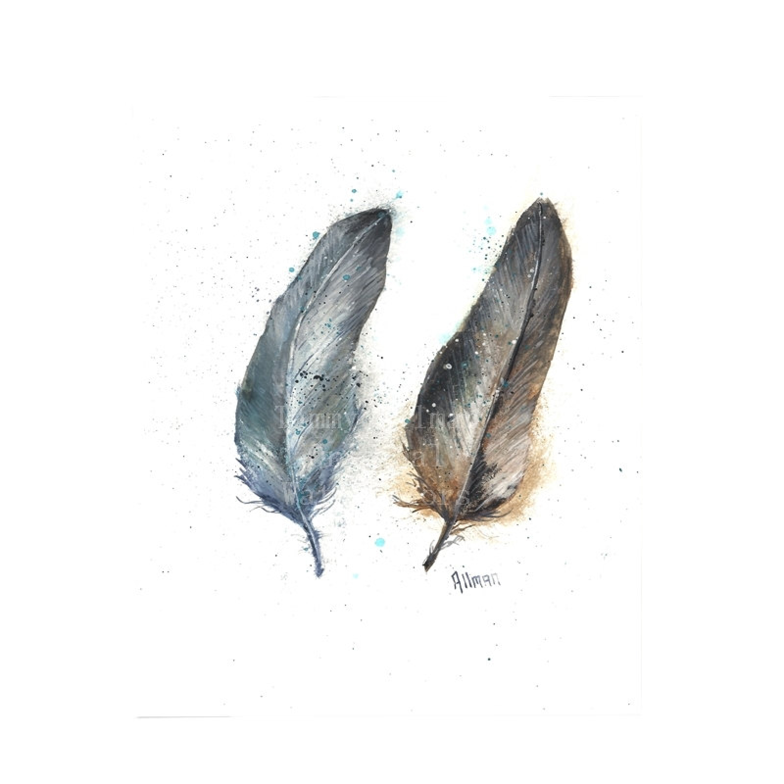 Original Feather Watercolor Print Watercolor Feather Painting