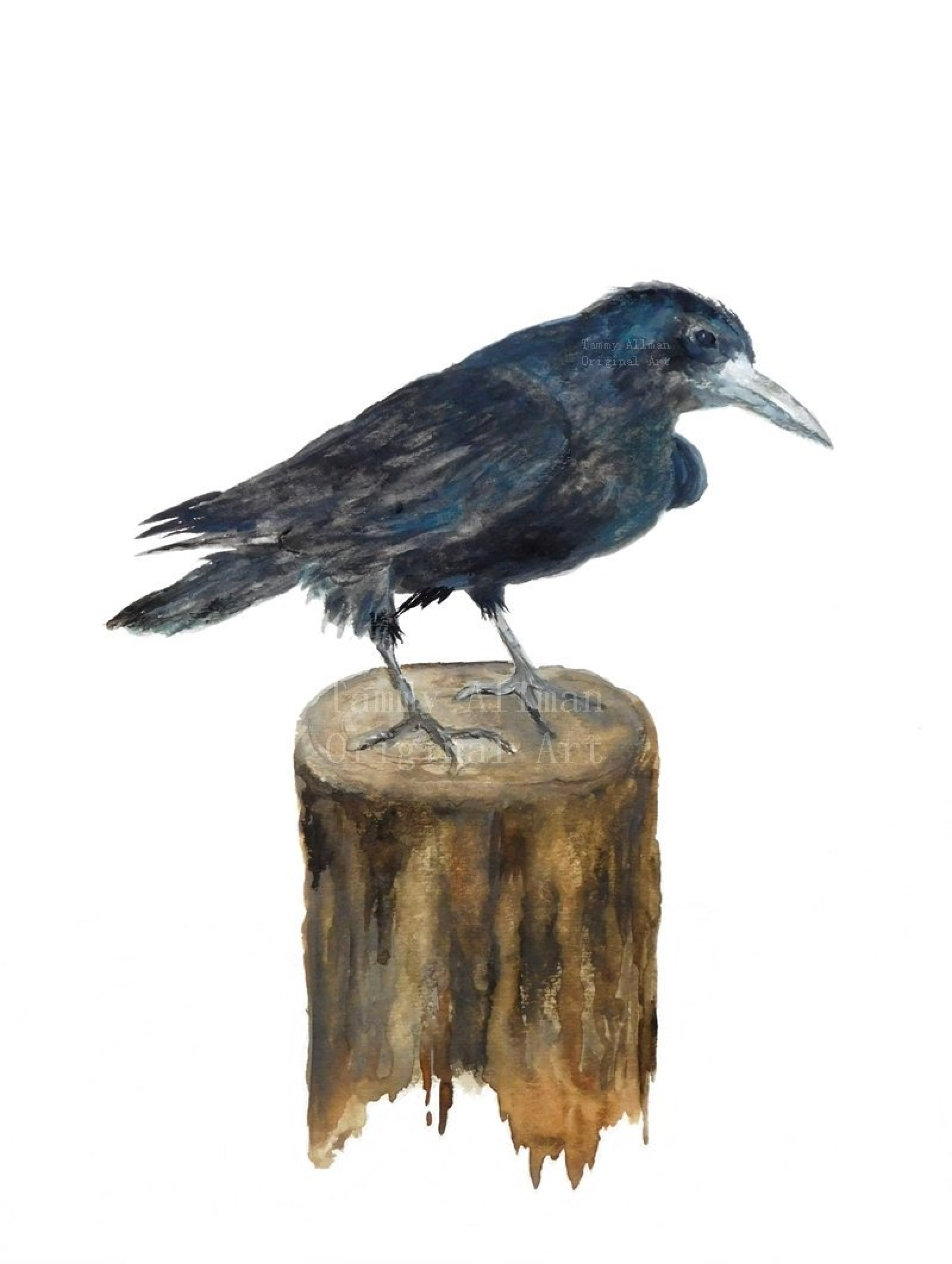 Raven Watercolor The Raven Crow Watercolor Original Watercolor Kenzie S Cottage