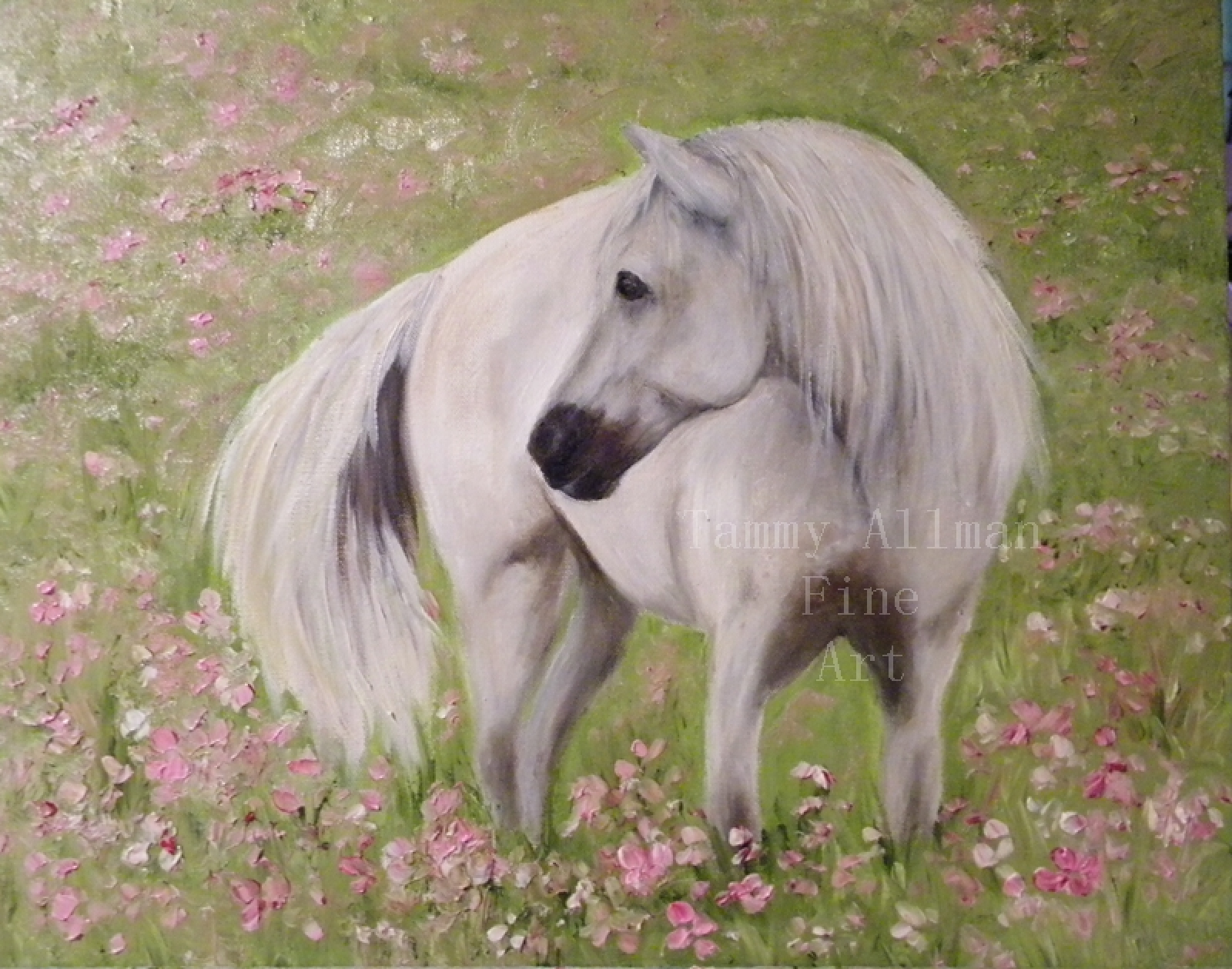 Beautiful White Horse Painting Original Oil Horse Painting
