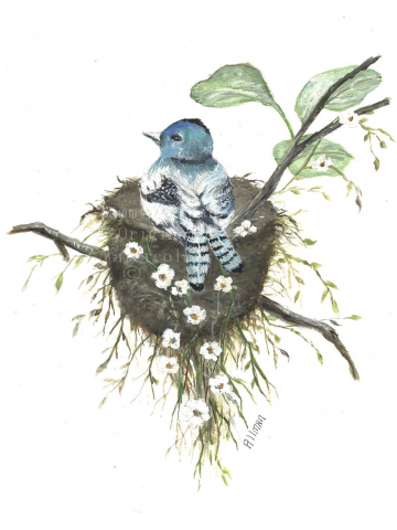 Original Watercolor Painting Archival Print," Protecting the Nest" Bluebird Watercolor, Bird Nest Watercolor, Original Watercolor Painting Archival Print," Protecting the Nest" Bluebird Watercolor, Bird Nest Watercolor,