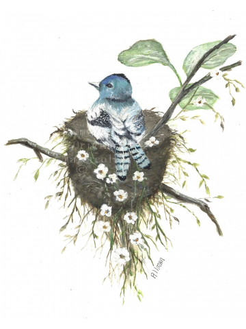 Original Watercolor Painting Archival Print," Protecting the Nest" Bluebird  Watercolor, Bird Nest Watercolor,