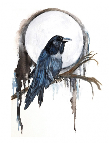 Raven Watercolor, "Blue Moon Raven", Crow Watercolor, Print of Original Watercolor