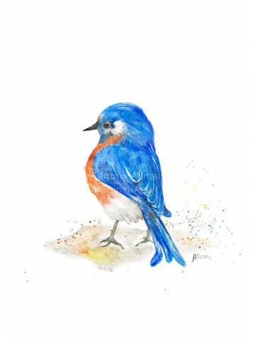 Bluebird Watercolor Print of Original, "Bluebird Happiness" Bluebird Series