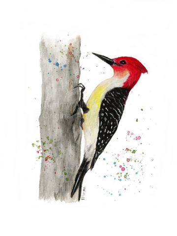 Red Headed Woodpecker Gouache and Watercolor Print, Woodpecker Series "Red Breasted Woodpecker"