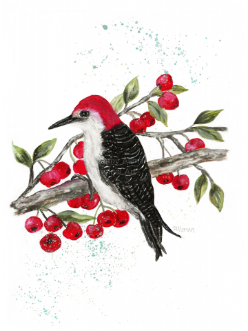 Red Headed Woodpecker in a Cherry Tree Watercolor Print, Woodpecker Series