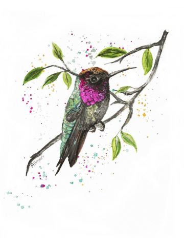 Ruby Throat Hummingbird Watercolor, Hummingbird Series, Original Watercolor Print