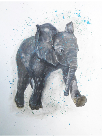 Baby Elephants Watercolor